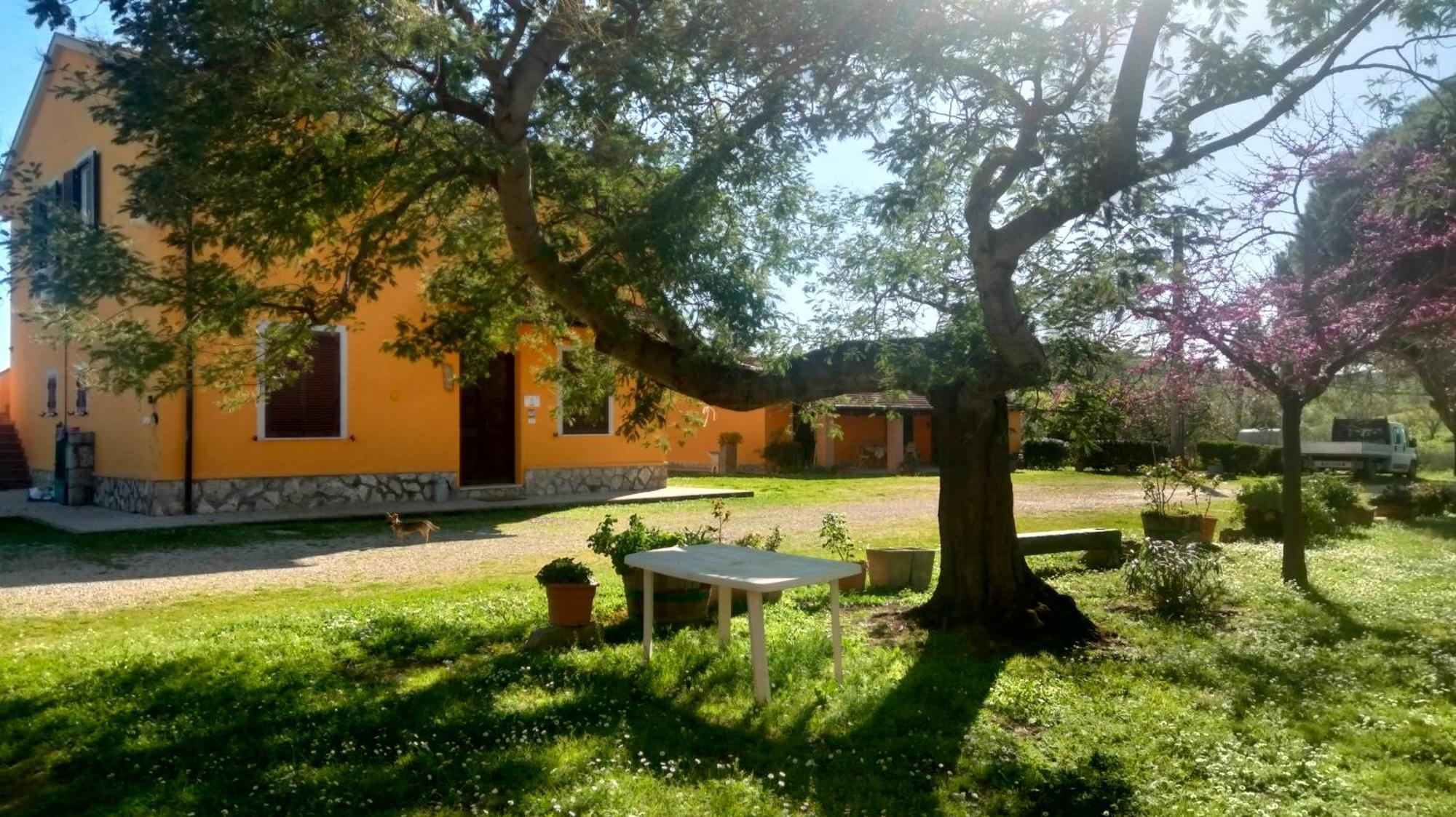 Agriturismo Da Remo Magliano in Toscana Habitación foto