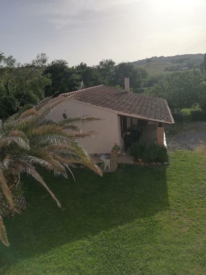 Agriturismo Da Remo Magliano in Toscana Exterior foto
